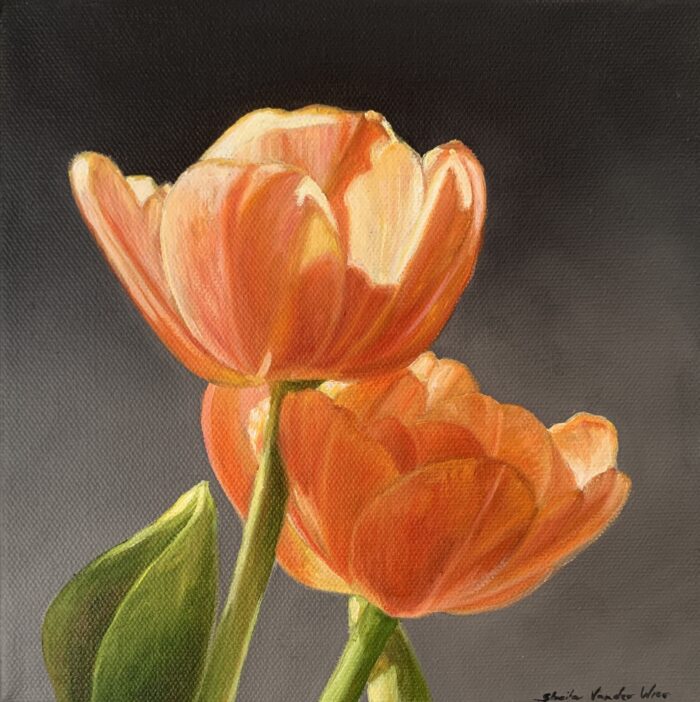 43 Cheerful II Original