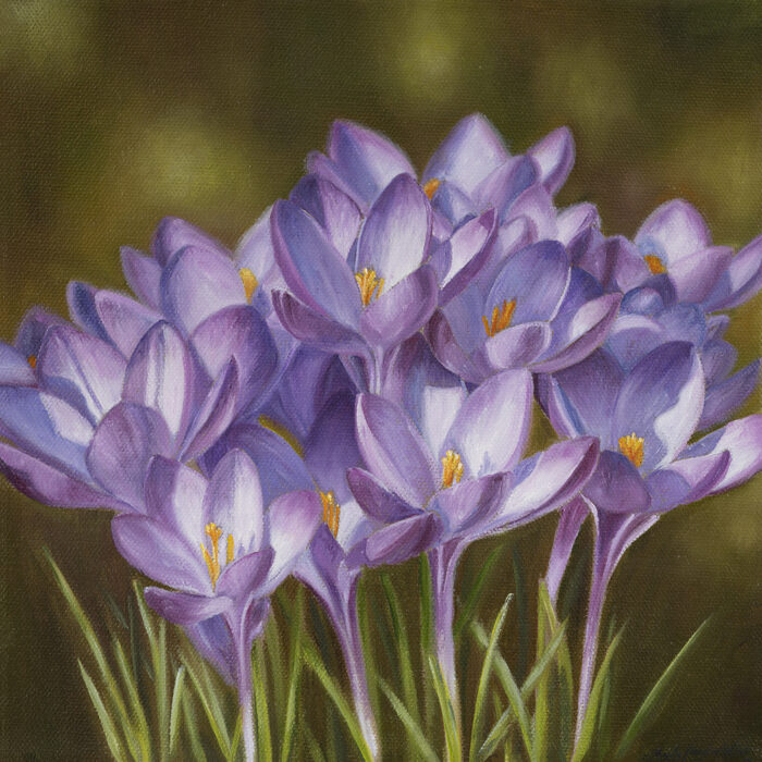 Spring Has Sprung