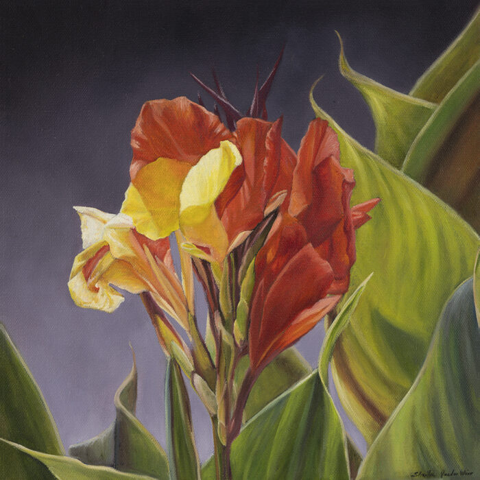 Canna Confidence I