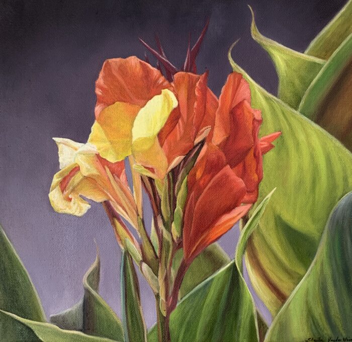 03 Canna Confidence I Original